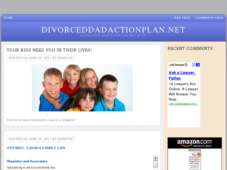www.divorceddadactionplan.net