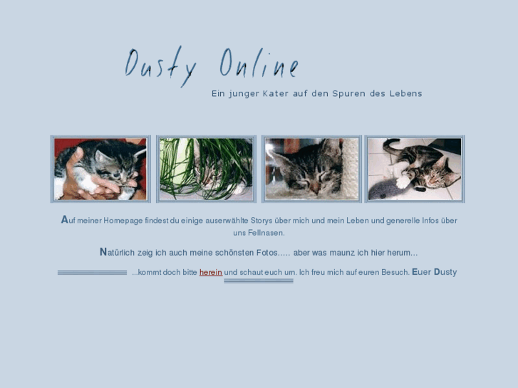 www.dusty-online.de