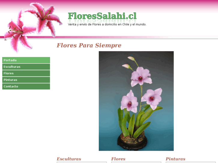 www.floressalahi.cl