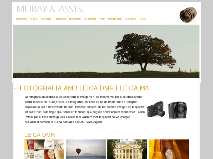 www.muray-assts.com