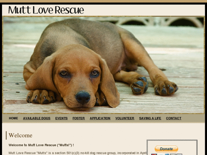 www.muttloverescue.org