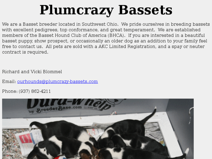 www.plumcrazy-bassets.com