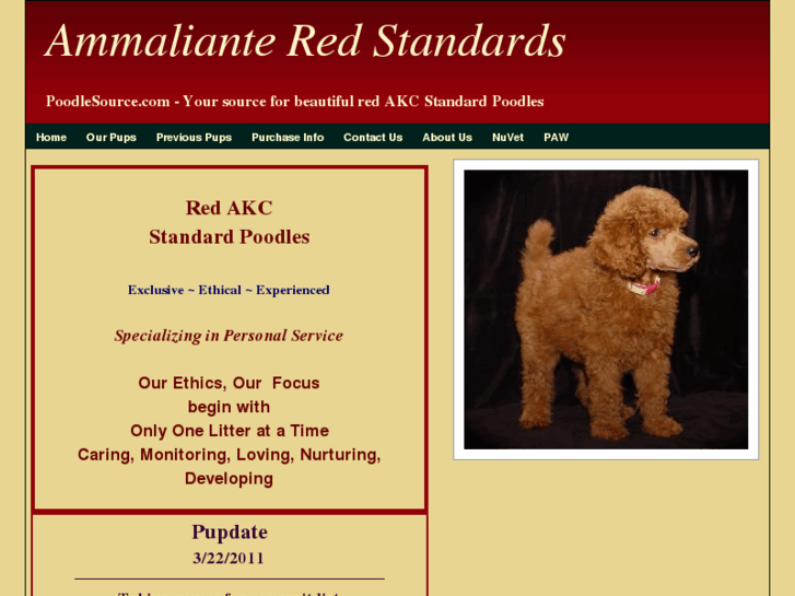 www.poodlesource.com