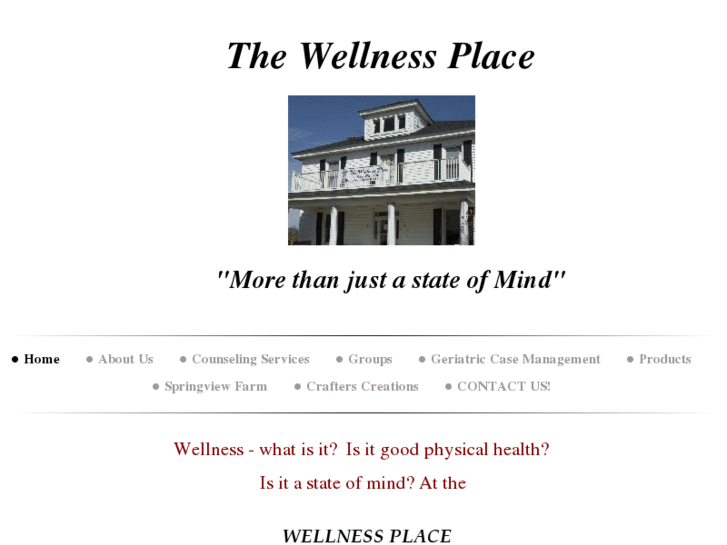 www.wellnessplace1.com