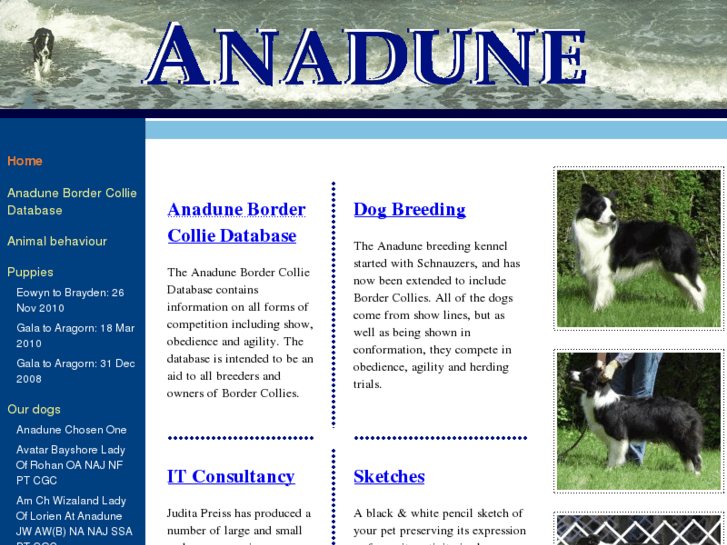 www.anadune.com