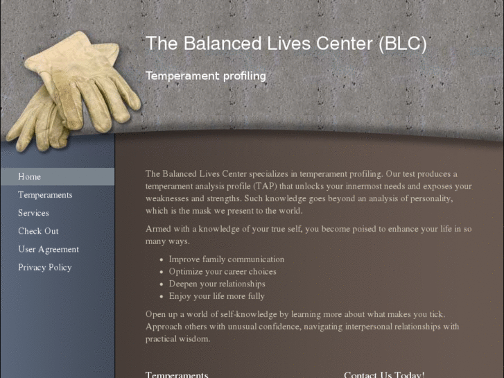 www.balancedlives.org