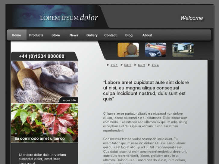 www.cdexpert.net