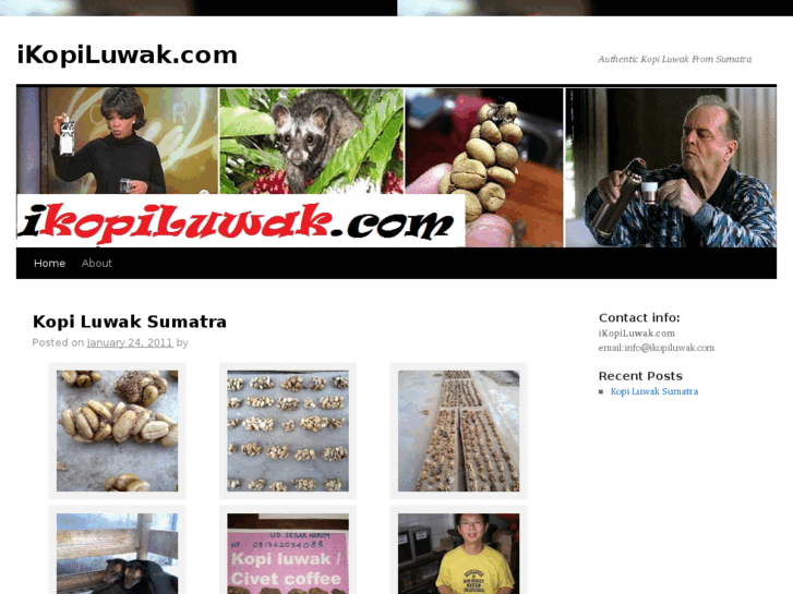 www.ikopiluwak.com