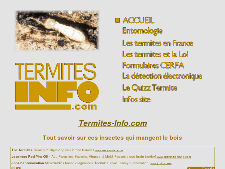 www.loi-termites.com