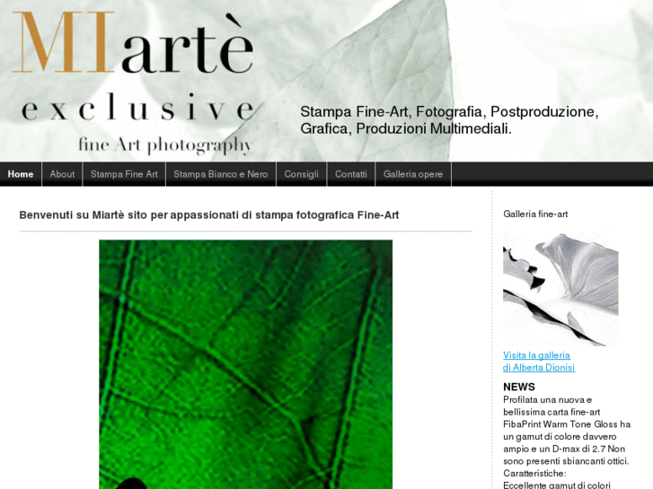 www.miartefineart.com