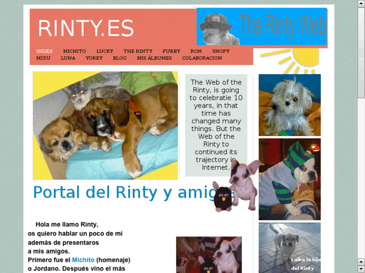 www.rinty.es