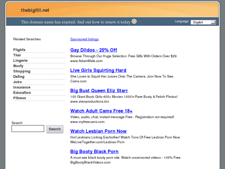 www.thebigfill.net