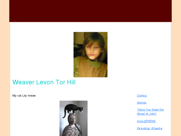 www.weaverhill.com