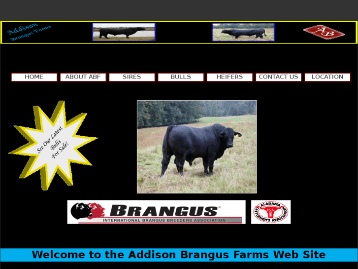 www.addisonbrangusfarms.com