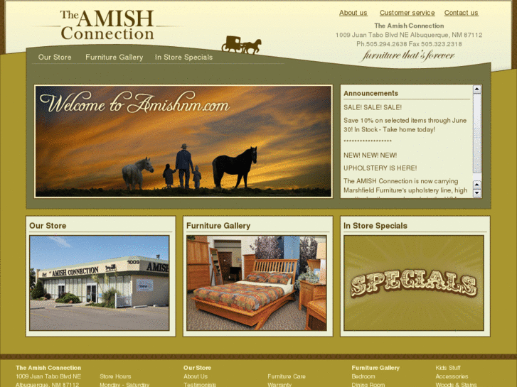 www.amishnm.com