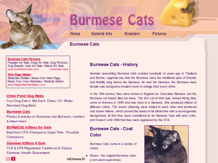 www.burmese-cats.com