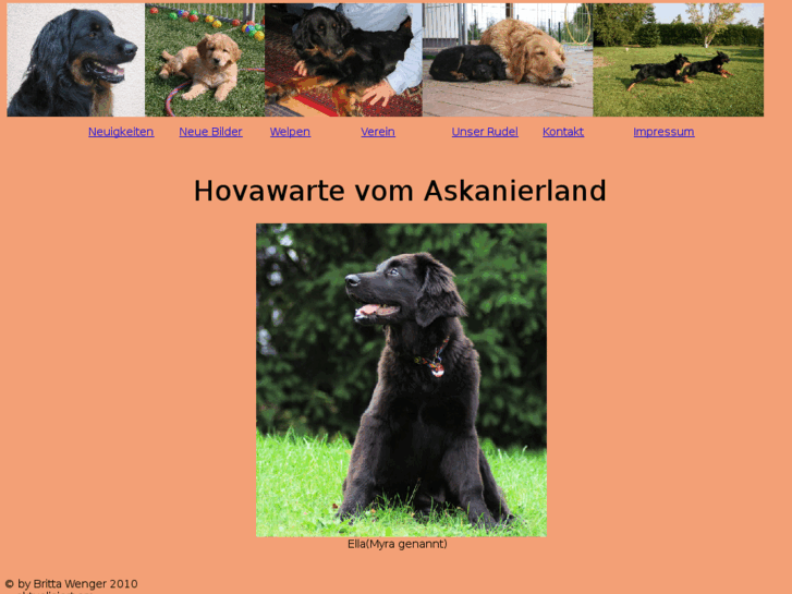 www.hovawart-welpen.com