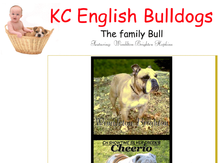 www.kcenglishbulldogs.com