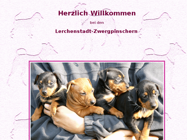 www.rehpinscher.net