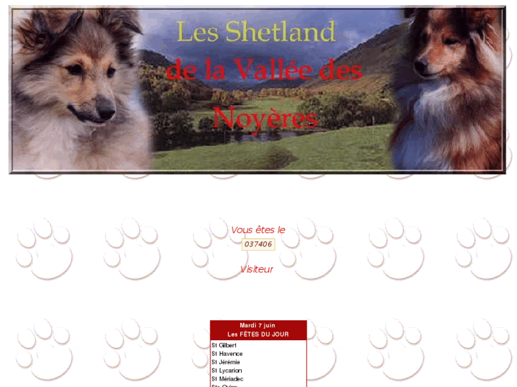 www.shetlandvdn.com