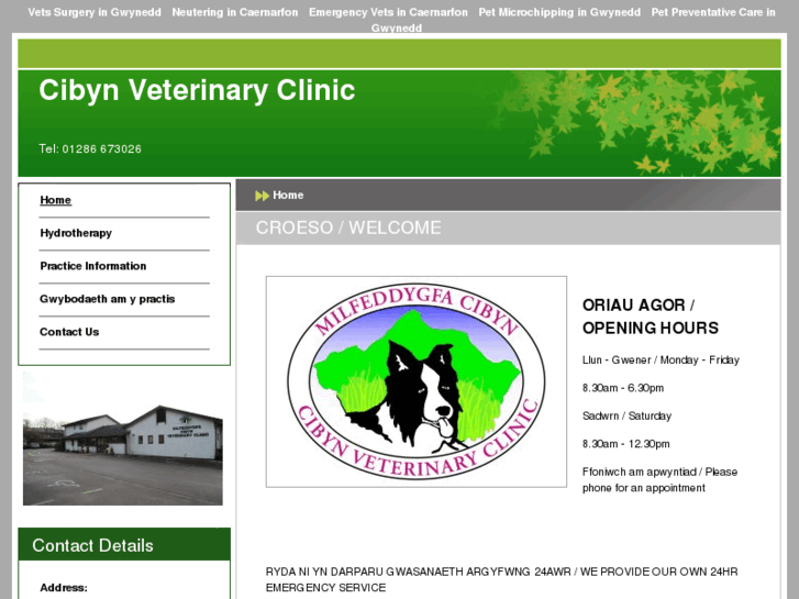 www.vetsincaernarfon.co.uk