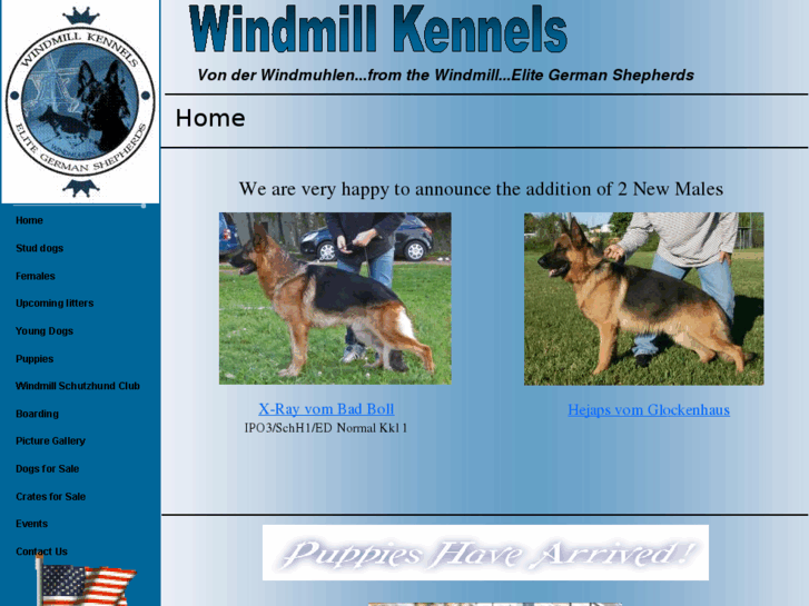 www.windmillkennels.net