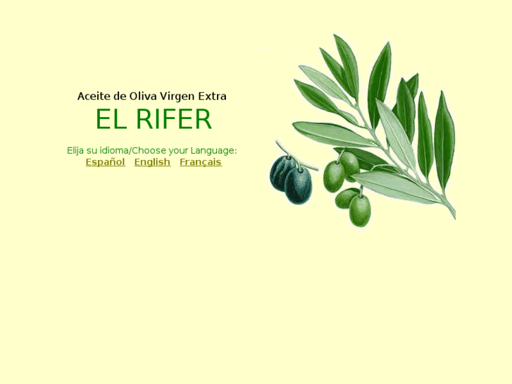 www.aceiterifer.com