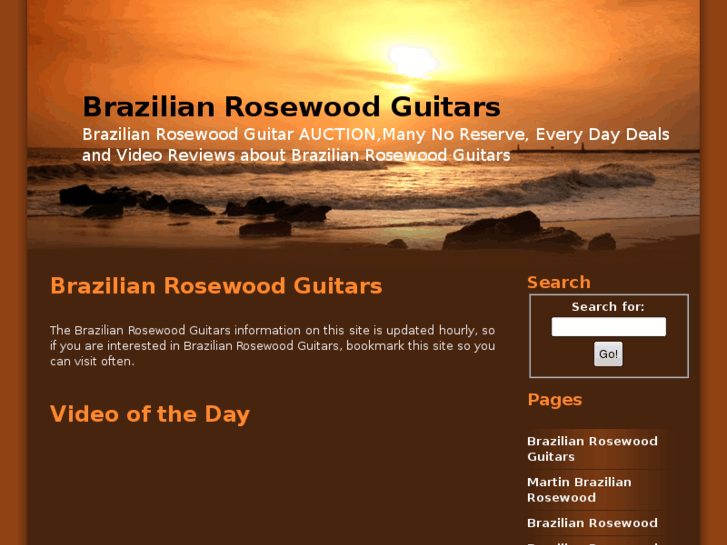 www.brazilianrosewoodguitar.com