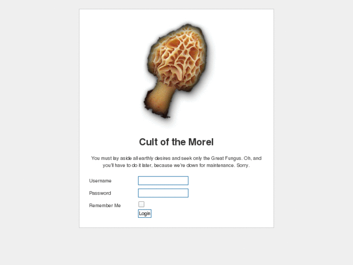 www.cultofthemorel.com