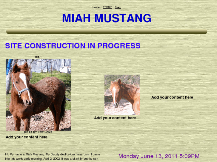 www.miahmustang.com