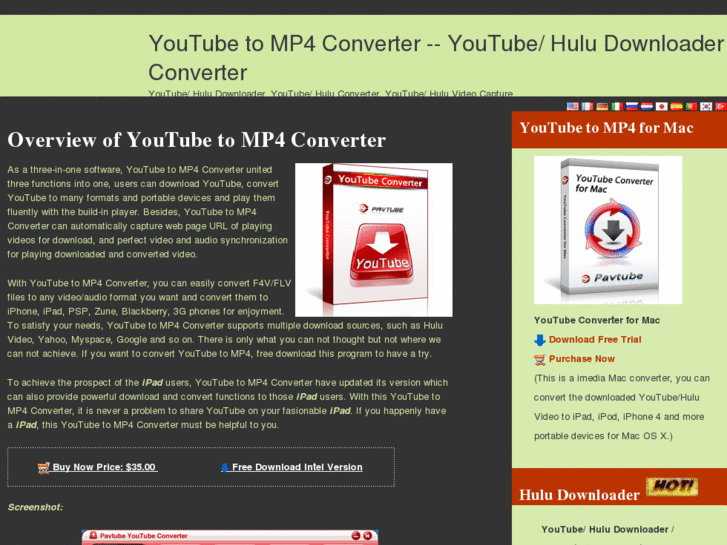 www.youtubetomp4converter.net