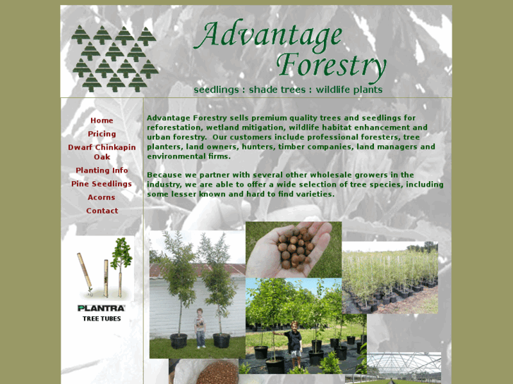 www.advantageforestry.net