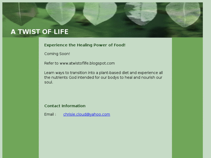 www.atwistoflife.com