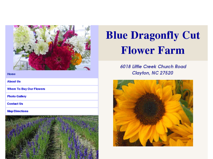 www.bluedragonflyflowers.com