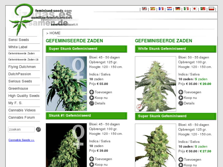 www.feminized-seed.com