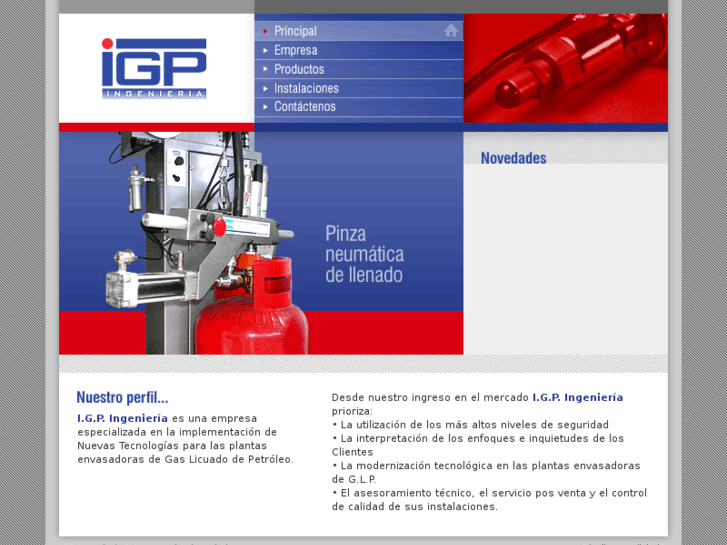 www.igp-ingenieria.com