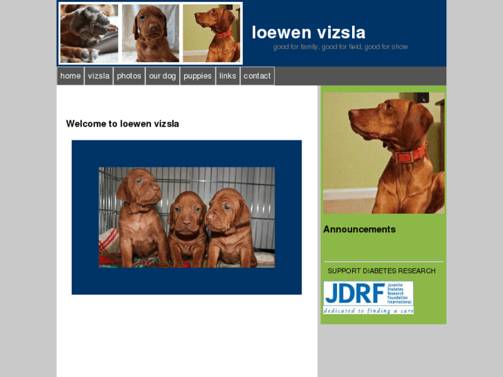 www.loewenvizsla.com