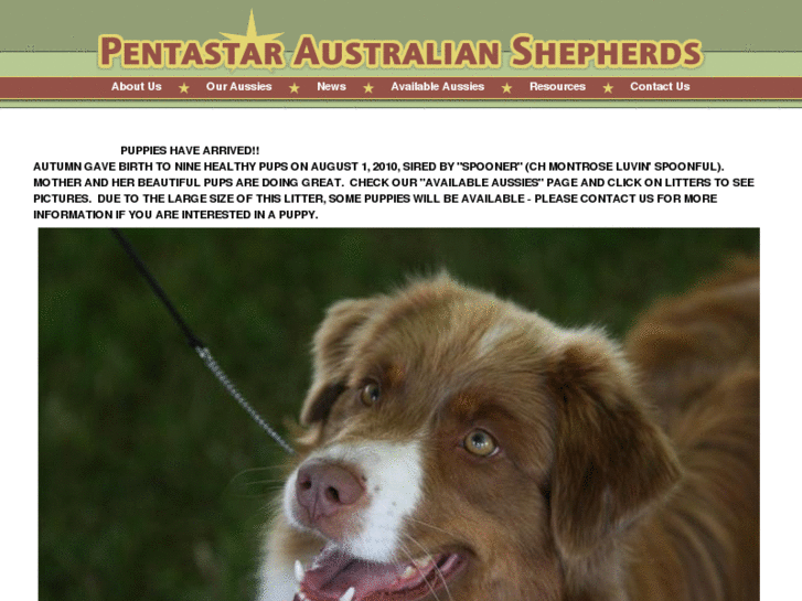 www.pentastaraussies.com