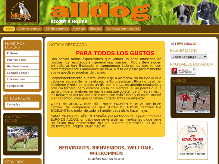 www.alidog.com