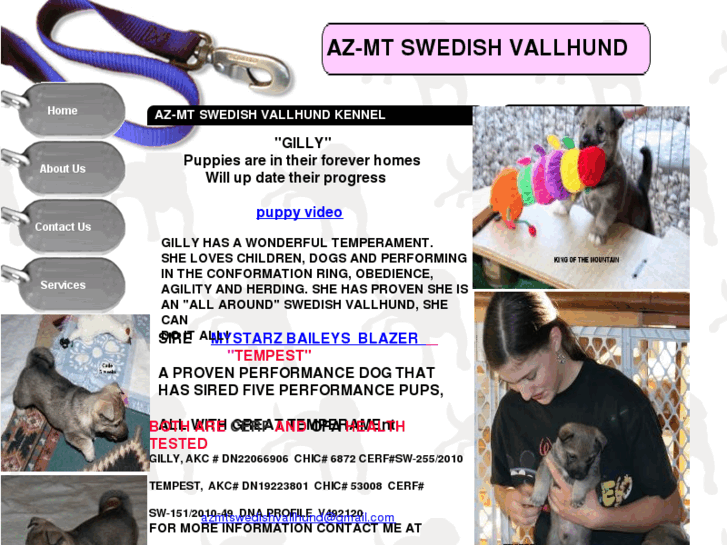 www.az-mt-swedishvallhund.com