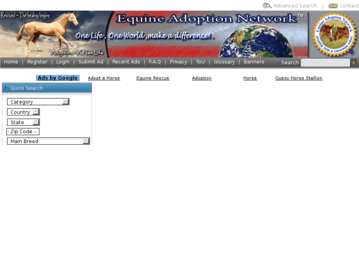 www.equineadoptionnetwork.com