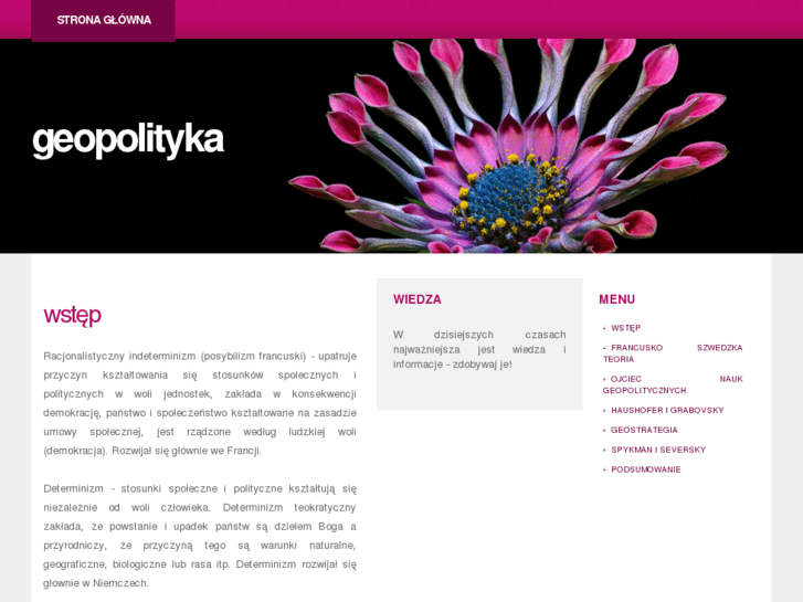 www.geopolityka.info.pl