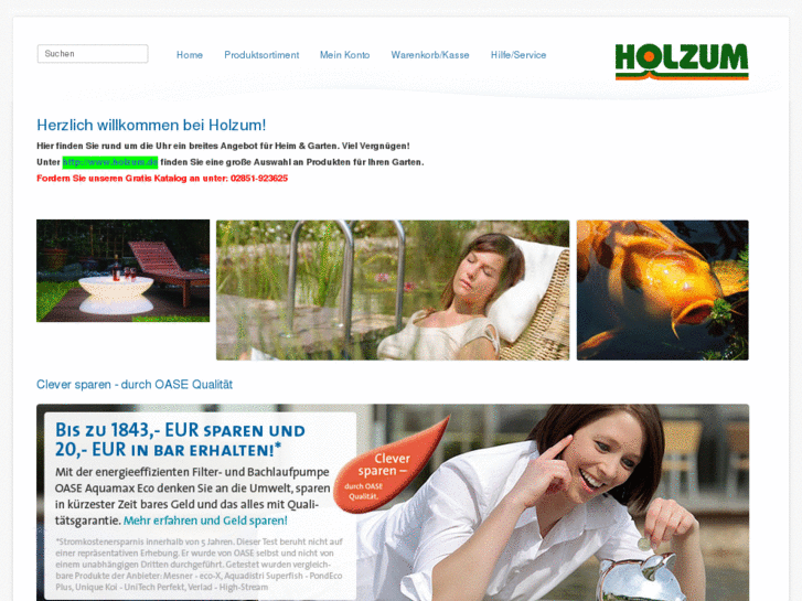 www.holzum-pumpen-shop.de