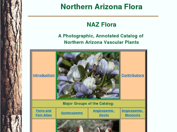 www.nazflora.org