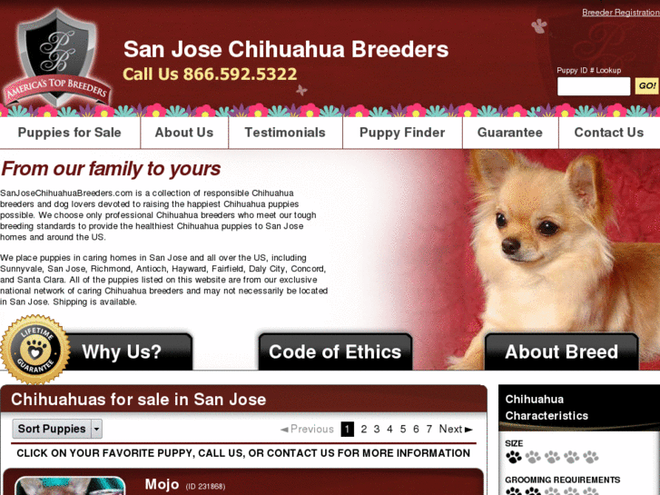 www.sanjosechihuahuabreeders.com