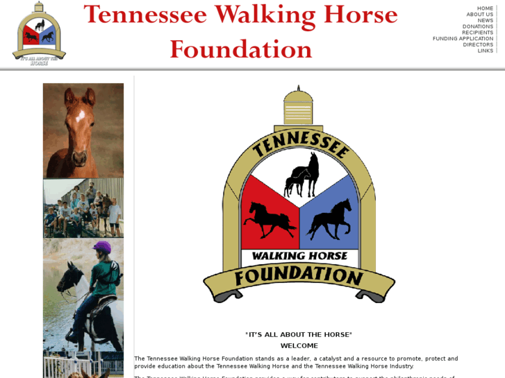 www.tennesseewalkinghorsefoundation.com