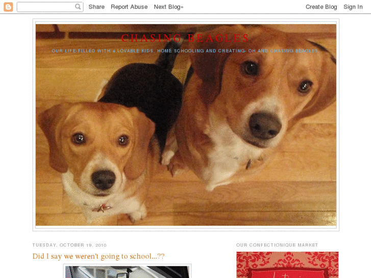 www.chasingbeagles.com