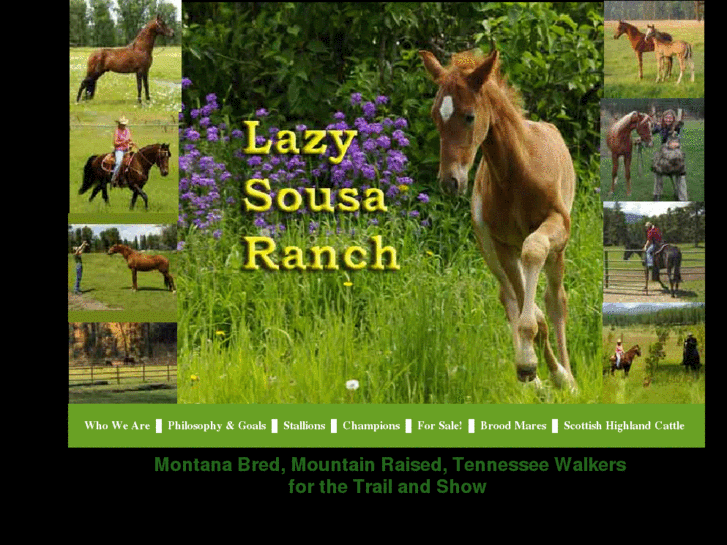 www.lazysousaranch.com