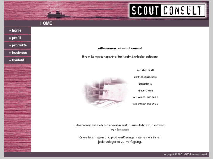 www.scoutconsult.com