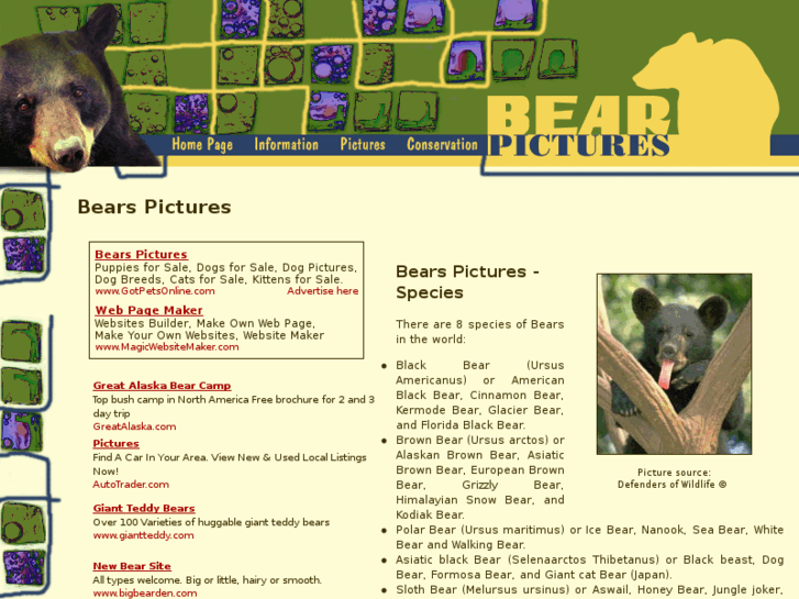 www.bear-pictures.org